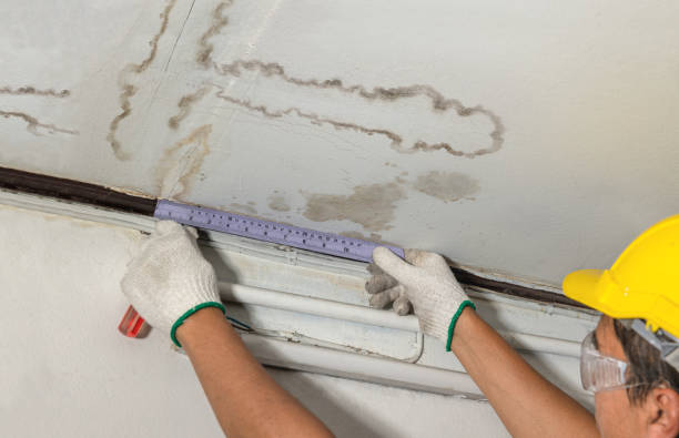 Reliable Water Damage contractor in Bogota, TN by Water Damage Irwin
